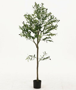 tFCNO[ I[u 150cm WCg O[ 750×s550×1500mm fj-41121 lHϗtA  lHϗtA  ϗtA K[f DIY  k _ Ƌ CeA i`