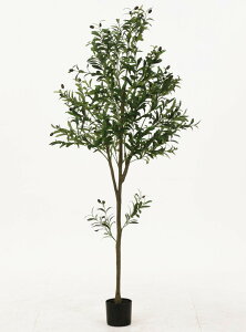 tFCNO[ I[u 180cm WCg O[ 600×s600×1800mm fj-41122 lHϗtA  lHϗtA  ϗtA K[f DIY  k _ Ƌ CeA i`