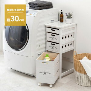 XgbJ[ MUD-6606LBR ()30×s40×79cm hgs-3000001848