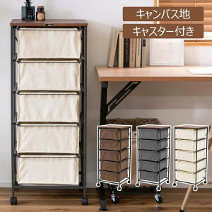 `FXg5i uE O[ AC{[ W43×D44×H101.5 `FXg 5i z LoX LX^[t [Ƌ [ t@ubN gȒP ߗގ[ S `FXgS t@ubN`F