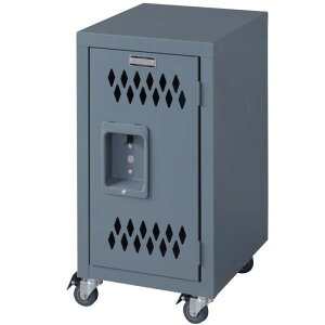 bN X`[`FXgS O[ AC{[ W30.5×D38.5×H60 azu-tpn-40 y ^X `FXg [ Ƌ  k _ Ƌ CeA i` eCXg V IXX  