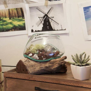 KXIuWF NA 20-30 `󂪈قȂ܂B azu-ttz-311 y u CeA u  k _ Ƌ CeA i` eCXg V IXX 