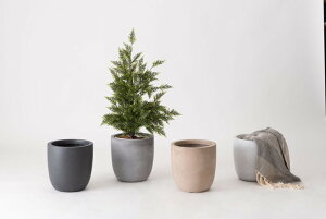 O[x[X x[W ubN O[ zCg W28×D28×H27.5 O[x[X v^[ A Aؔ jAXJ[ }bg ݃J[ A   azu-grnb-210 y 