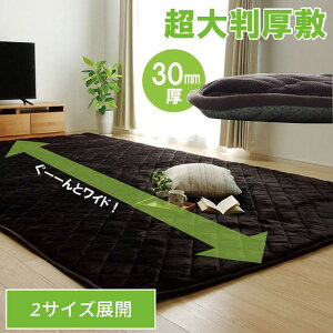 O ~zc ` 傫 LO 220×400cm uE ihk-1161710066513 p~zc pzc Jo[  k _ Ƌ CeA i` eCXg V IX