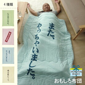 掛布団 肌布団 お父さん ギフト 140×190cm ベージュ ブルー グリーン ピンク ihk-1201530024202 掛け布団 寝具 送料無料 北欧 モダン 家具 インテリア ナチュラル テイスト 新生活 オススメ おしゃれ 後払い