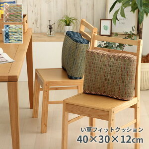 NbV tBbg   `FbN  C ȒP 40×30×12cm x[W u[ ihk-1142260021402 NbV NbV zc  k _ Ƌ CeA i