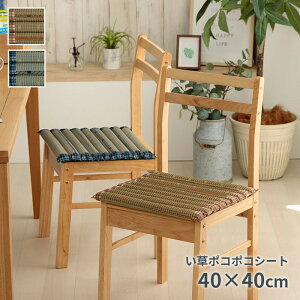 NbV |R|RV[g  `FbN  C ȒP 40×40cm x[W u[ ihk-1142260022602 NbV NbV zc  k _ Ƌ CeA i`