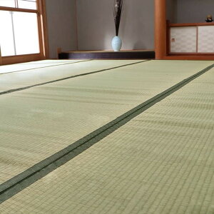 Y  ~ J[ybg oڐD  {8 382×382cm ihk-1010020015802 J[ybg O J[ybg }bg  k _ Ƌ CeA i` eCXg V IXX