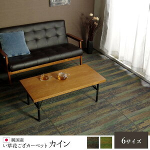 �����Ԃ����J�[�y�b�g �����Y �J�C�� �]�ˊ�4.5�� ��261×261cm �u���[ �O���[�� ihk-1080740040502 �J�[�y�b�g ���O �J�[�y�b�g �}�b�g �k�� ���_�� �Ƌ� �C���e���A �i�`������ �e�C�X�g �V���� �I�X