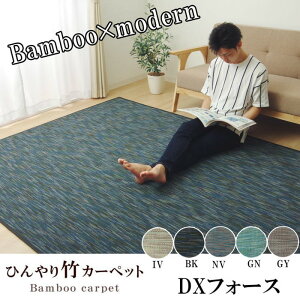 O J[ybg n Vv ou[ | DXtH[X 190×300cm ubN O[ O[ AC{[ lCr[ ihk-1100290034701 J[ybg O J[ybg }bg  k _ 