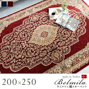 �J�[�y�b�g �O�~ ���O �������O �E�B���g�� �����` �N���V�b�N�� �G���K���X ��200×300cm �l�C�r�[ ���C�� ihk-1321180190701 �J�[�y�b�g ���O �J�[�y�b�g �}�b�g �������� �k�� ���_�� �Ƌ� �C���e