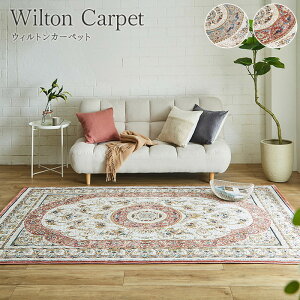 J[ybg fUCO EBgJ[ybg NVbN O 160×230cm x[W [Y ihk-1321580020401 J[ybg O J[ybg }bg  k _ Ƌ CeA 