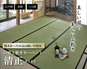 Y  ~ J[ybg ȐD  ]ˊ1 88×176cm F{YCgp ihk-1400200012102 J[ybg O J[ybg }bg  k _ Ƌ CeA i` 