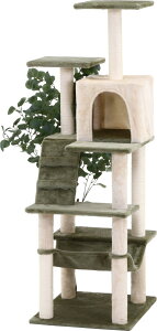 ねこの休ら木 レオ ZJS-165974-2GR グリーン 幅650×奥行590×高さ1495mm fj-58204