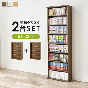 �{�I �u�b�N���b�N 2��g RCC-1515 ��60×���s22×����90cm/1�� hgs-3000004158 �I�[�v�����b�N �{�I ���b�N �J���[�{�b�N�X ���[ �Ƌ� �k�� ���_�� �Ƌ� �C���e���A �i�`������ �e�C�X�g �V���� �I�X�X