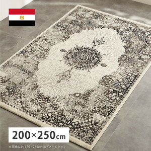 EBgO K[h 200×250cm ` GWvg IG^ VbN zbgJ[ybgΉ g[Ή hig-270608302x J[ybg O J[ybg }bg  k _ Ƌ 