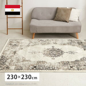 EBgO K[h 230×230cm ` GWvg IG^ VbN zbgJ[ybgΉ g[Ή hig-270608306x J[ybg O J[ybg }bg  k _ Ƌ 