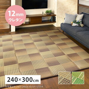 �������O �N���p�X ��240×300cm 12mm�E���^�� �ӂ����� ���� hig-81909204x �J�[�y�b�g ���O �J�[�y�b�g �}�b�g �������� �k�� ���_�� �Ƌ� �C���e���A �i�`������ �e�C�X�g �V���� �I�X�X�� ������