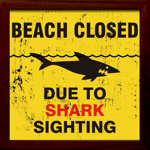�T�C���t���[�� �V���[�N�E�T�C�e�B���O SIGN FRAME Shark Sighting 220x220x20 snw-zsf-52033 �A�[�g�p�l�� �A�[�g�{�[�h �ǎ� �����t�B���� �������� �k�� ���_�� �Ƌ� �C���e���A �i�`������ �e�C�X�g �V