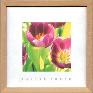 �t�����`�t�H�g�O���t�B �`���[���b�v French Photography Tulips 220x220x20 snw-zfp-51895 �A�[�g�p�l�� �A�[�g�{�[�h �ǎ� �����t�B���� �������� �k�� ���_�� �Ƌ� �C���e���A �i�`������ �e�C�X�g �V��