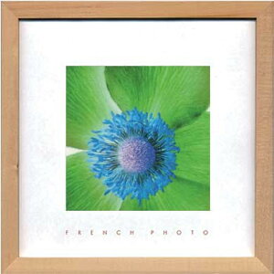 t`tHgOtB All Co[g French Photography Anemone invert 220x220x20 snw-zfp-51898 A[gpl A[g{[h ǎ tB  k _ Ƌ CeA i` 