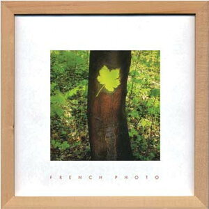 �t�����`�t�H�g�O���t�B ���[�v�����[�t French Photography Maple leaf 220x220x20 snw-zfp-51914 �A�[�g�p�l�� �A�[�g�{�[�h �ǎ� �����t�B���� �������� �k�� ���_�� �Ƌ� �C���e���A �i�`������ �e�C�X�g