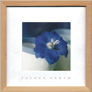 t`tHgOtB ftBjEEGc French Photography Delphinium elatum 220x220x20 snw-zfp-51918 A[gpl A[g{[h ǎ tB  k _ Ƌ CeA i`