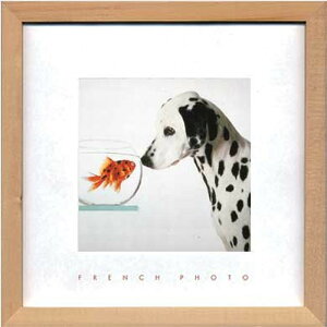 t`tHgOtB _VA Ah tBbV French Photography Dalmetian & Fish 220x220x20 snw-zfp-51919 A[gpl A[g{[h ǎ tB  k _ Ƌ CeA