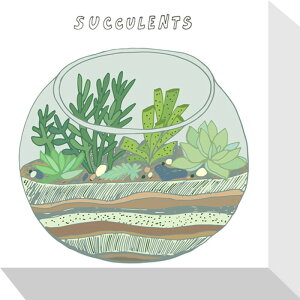 z[vc TLg Home Plants SACCULENTS 175x175x40 snw-zpa-53535 A[gpl A[g{[h ǎ tB  k _ Ƌ CeA i` eCXg V IXX