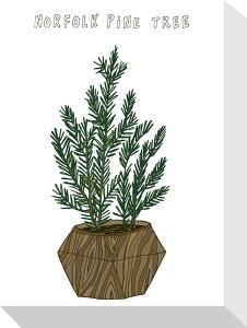 z[vc m[tH[N}c Home Plants NORFOLK PINE TREE 155x205x40 snw-zpa-53546 A[gpl A[g{[h ǎ tB  k _ Ƌ CeA i` eCXg V