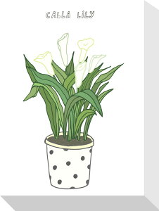 �z�[���v�����c �J�b���E�����[ Home Plants CALLA LILY 155x205x40 snw-zpa-53553 �A�[�g�p�l�� �A�[�g�{�[�h �ǎ� �����t�B���� �������� �k�� ���_�� �Ƌ� �C���e���A �i�`������ �e�C�X�g �V���� �I�X