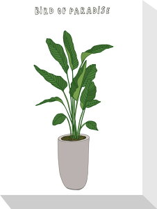 �z�[���v�����c �p���_�C�X�o�[�h Home Plants BIRD OF PARADIS 155x205x40 snw-zpa-53554 �A�[�g�p�l�� �A�[�g�{�[�h �ǎ� �����t�B���� �������� �k�� ���_�� �Ƌ� �C���e���A �i�`������ �e�C�X�g �V���� 