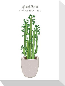 z[vc T{e Home Plants CACTUS 155x205x40 snw-zpa-53561 A[gpl A[g{[h ǎ tB  k _ Ƌ CeA i` eCXg V IXX 