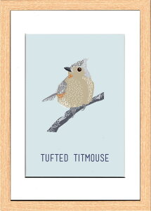 k o[h G{VK North Birds Tufted Titmouse 220x305x20 snw-znb-53431 A[gpl A[g{[h ǎ tB  k _ Ƌ CeA i` eCXg V IXX 