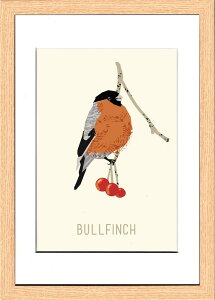 k o[h utB` North Birds Bullfinch 220x305x20 snw-znb-53432 A[gpl A[g{[h ǎ tB  k _ Ƌ CeA i` eCXg V IXX 