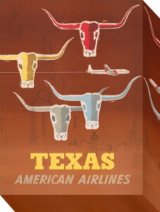 �~�j �p�l�� �A�����J���G�A���C�� MINI Panel American Airline 205x280x45 snw-zap-53671 �A�[�g�p�l�� �A�[�g�{�[�h �ǎ� �����t�B���� �������� �k�� ���_�� �Ƌ� �C���e���A �i�`������ �e�C�X�g �V����