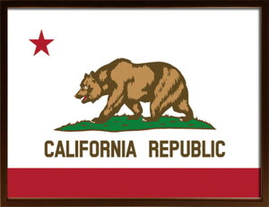 �A�[�g�t���[�� �J���t�H���j�A�t���b�O Art Frame California Flag 725x525x30 snw-isf-52295 �A�[�g�p�l�� �A�[�g�{�[�h �ǎ� �����t�B���� �������� �k�� ���_�� �Ƌ� �C���e���A �i�`������ �e�C�X�g �V
