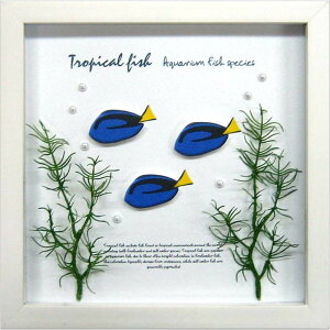 ANAt[ u[^O Aqua Frame Blue Tang 220x220x20 snw-zaf-50792 A[gpl A[g{[h ǎ tB  k _ Ƌ CeA i` eCXg V IXX 