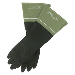 LBebNXO[u J[L 170×s400×10 fj-28112