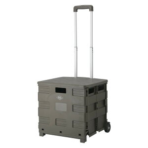 tH[fBOL[J[g L Wt KH J[L 450×s380×990 fj-86442