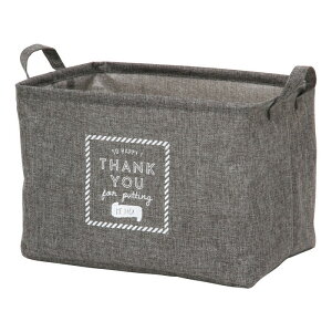 �t�@�u���b�N �{�b�N�X �X�N�G�A GY �O���[ �����i W380×D260×H260mm 0.2kg fj-32817 ���[�P�[�X �{�b�N�X ��������[ ���[ �Ƌ� �������� �k�� ���_�� �Ƌ� �C���e���A �i�`������ �e�C�X�g �V���� �I