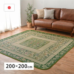 ���Y�������O �G���y���[ ��200×200cm �O���[�� hig-81906700x �J�[�y�b�g ���O �J�[�y�b�g �}�b�g �k�� ���_�� �Ƌ� �C���e���A �i�`������ �e�C�X�g �V���� �I�X�X�� �������