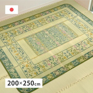 ���Y�������O �G���y���[ ��200×250cm �O���[�� hig-81906701x �J�[�y�b�g ���O �J�[�y�b�g �}�b�g �k�� ���_�� �Ƌ� �C���e���A �i�`������ �e�C�X�g �V���� �I�X�X�� �������