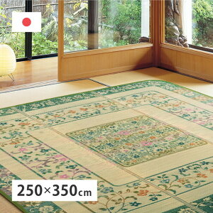 ���Y�������O �G���y���[ ��250×350cm �O���[�� hig-81906704x �J�[�y�b�g ���O �J�[�y�b�g �}�b�g �k�� ���_�� �Ƌ� �C���e���A �i�`������ �e�C�X�g �V���� �I�X�X�� �������