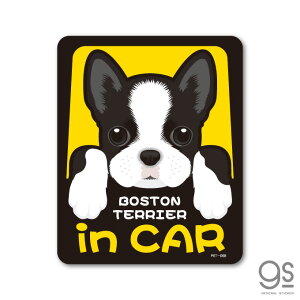 ybgXebJ[ BOSTON TERRIER in CAR {XgEeA hbOCJ[  ybg  DOG CXg S25 PET068 gs XebJ[ ObY