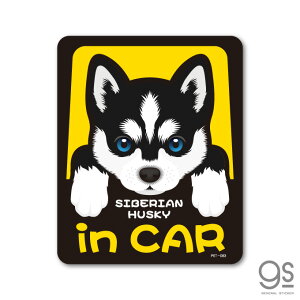 ybgXebJ[ SIBERIAN HUSKY in CAR VxAEnXL[ hbOCJ[  ybg  DOG CXg S25 PET083 gs XebJ[ ObY