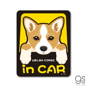 ybgXebJ[ WELSH CORGI in CAR EFVER[M[ hbOCJ[  ybg  DOG CXg S25 PET087 gs XebJ[ ObY