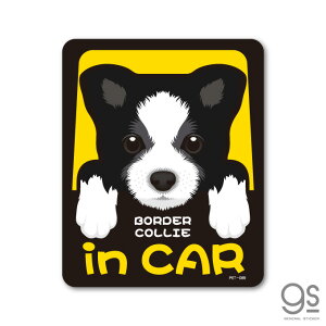 �y�b�g�X�e�b�J�[ BORDER COLLIE in CAR �{�[�_�[�E�R���[ �h�b�O�C���J�[ �� �y�b�g ���� DOG �C���X�g �S25���� PET089 gs �X�e�b�J�[ �O�b�Y
