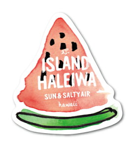 nCnbs[}[Pbg XebJ[ XCJ ISLAND HHM016  nC HAWAII CXg m[XVA ObY