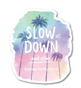 nCnbs[}[Pbg XebJ[ SLOW DOWN HHM017  nC HAWAII CXg m[XVA ObY